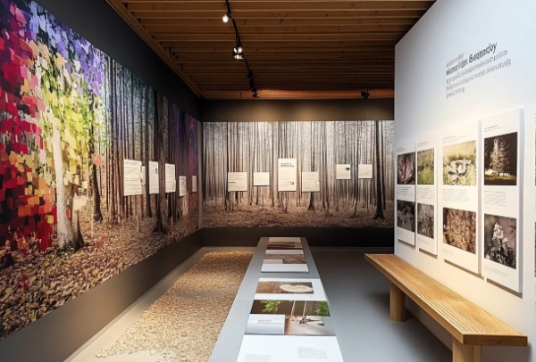 展廳設(shè)計的靈魂密碼：如何精準提煉核心元素？